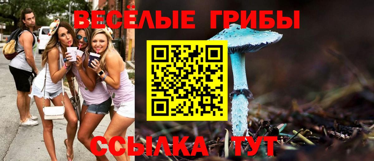 Галлюциногенные грибы GOLDEN TEACHER Нижнеудинск